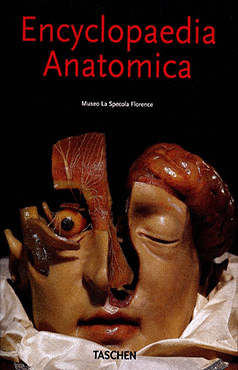 ENCYCLOPEDIA ANATMICA