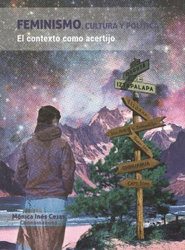 FEMINISMO, CULTURA Y POLTICA