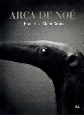 ARCA DE NO