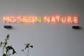 GABRIELA GALVN. MODERN NATURE