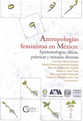 ANTROPOLOGÍAS FEMINISTAS EN MÉXICO: EPISTEMOLOGÍAS, ÉTICAS, PRÁCTICAS Y MIRADAS DIVERSAS.