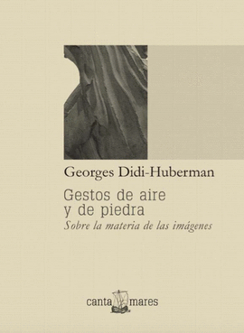 GESTOS DE AIRE Y DE PIEDRA. SOBRE LA MATERIA DE LAS IMGENES