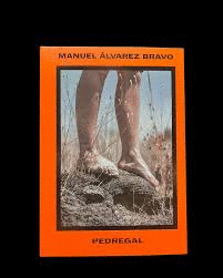 MANUEL �LVAREZ BRAVO. EL PEDREGAL