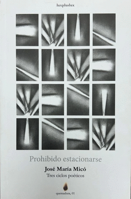 PROHIBIDO ESTACIONARSE