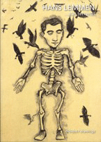 HANS LEMMEN. A�N... TERRENAL (DIBUJOS)