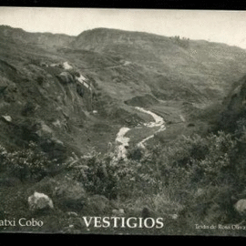 PATXI COBO. VESTIGIOS