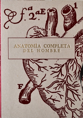 ANATOMA COMPLETA DEL HOMBRE