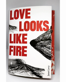 LOVE LOOKS LIKE FIRE