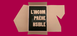 ANDREA ROMERO LINCOMPRHENSIBLE