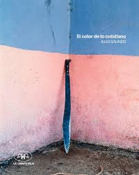 JULIO GALINDO. EL COLOR COTIDIANO