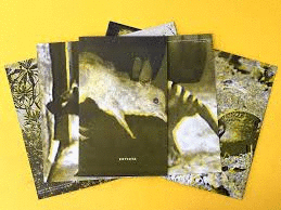 ANTONIA ISAACSON. EXTINTA. TRILOGA ANIMALIA