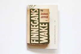 FINNEGANS WAKE. JAMES JOYCE. CONCEPTO XIMENA PREZ GROBET
