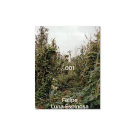 001 FELIPE LUNA ESPINOSA
