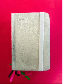 AGENDA 2025 MARA MARN DE BUEN