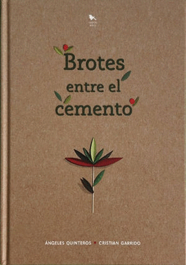 BROTES ENTRE EL CEMENTO