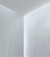 LUZ, FORMA, ACTO Y SIMBOLO